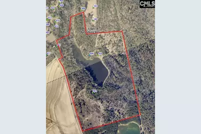 469 Brodie Road, Leesville, SC 29070 - Photo 19