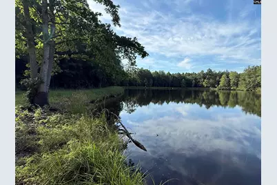 469 Brodie Road, Leesville, SC 29070 - Photo 3