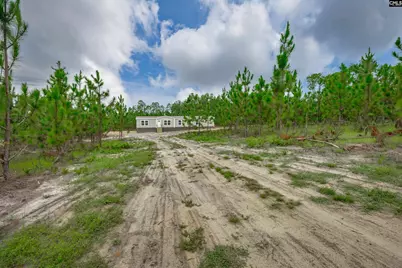 837 Big Branch Road, Wagener, SC 29164 - Photo 31