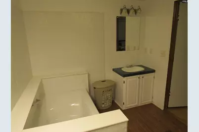 123 Castleville Court, Lexington, SC 29072 - Photo 5