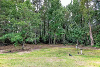 1167 Begonia Road, Neeses, SC 29107 - Photo 27
