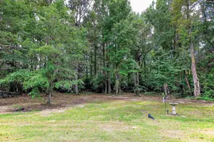 1167 Begonia Rd, Neeses, SC 29107 - Photo 27