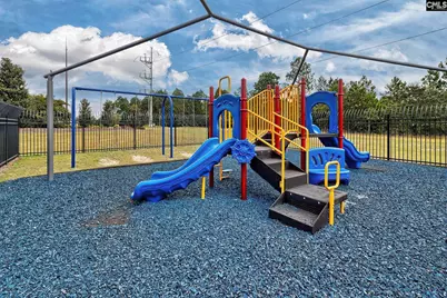 132 Hillock Court, Lexington, SC 29073 - Photo 29