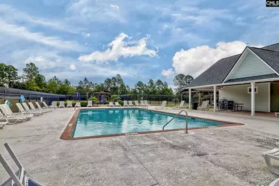 132 Hillock Court, Lexington, SC 29073 - Photo 31