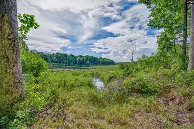 621 Martin Neese Road, Swansea, SC 29160 - Photo 29