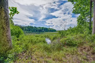 621 Martin Neese Rd, Swansea, SC 29160 - Photo 29