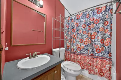 621 Martin Neese Road, Swansea, SC 29160 - Photo 21