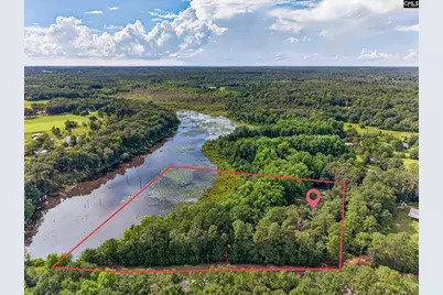 621 Martin Neese Road, Swansea, SC 29160 - Photo 5
