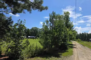 848 Stockman Rd, Prosperity, SC 29127 - Photo 9
