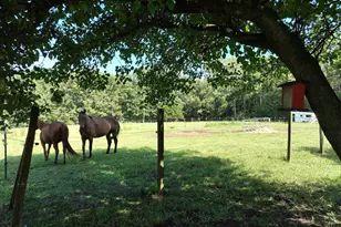 848 Stockman Rd, Prosperity, SC 29127 - Photo 5