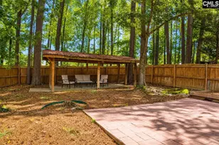 107 Durden Park Row, Blythewood, SC 29016 - Photo 45
