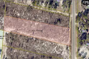 0 Boy Scout Rd, Gaston, SC 29053 - Photo 1