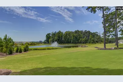 197 Ruby Prince Road, Gilbert, SC 29054 - Photo 29
