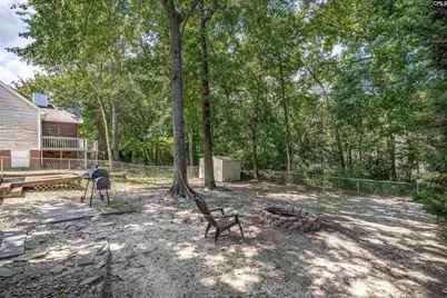 209 Mossborough Drive, Lexington, SC 29073 - Photo 33