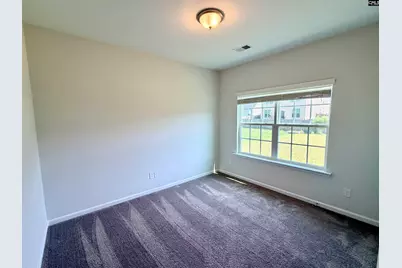 1518 Garrett Court, Chapin, SC 29036 - Photo 9