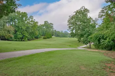 441 Oxenbridge Way, Chapin, SC 29036 - Photo 41