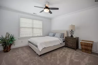 441 Oxenbridge Way, Chapin, SC 29036 - Photo 29