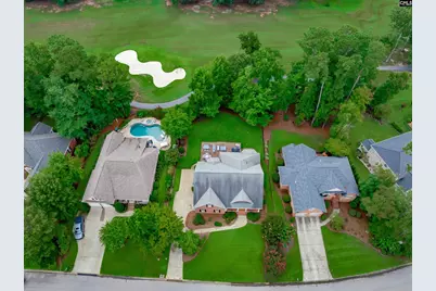 441 Oxenbridge Way, Chapin, SC 29036 - Photo 5