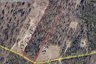 000 Webbs Pond Rd, Windsor, SC 29853 - Photo 1