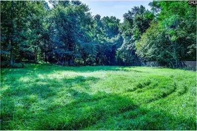 138 Rice Creek Lane, Blythewood, SC 29016 - Photo 69