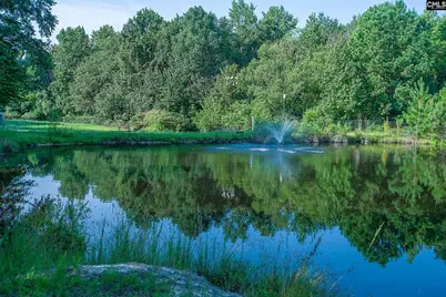 138 Rice Creek Lane, Blythewood, SC 29016 - Photo 15