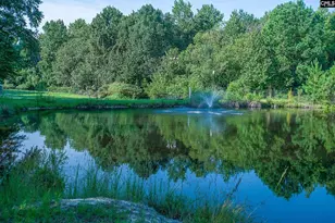 138 Rice Creek Ln, Blythewood, SC 29016 - Photo 15