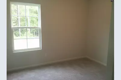 1416 Tanreall Drive, Lexington, SC 29073 - Photo 13