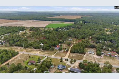 147 Scrub Oak Road, Pelion, SC 29123 - Photo 33