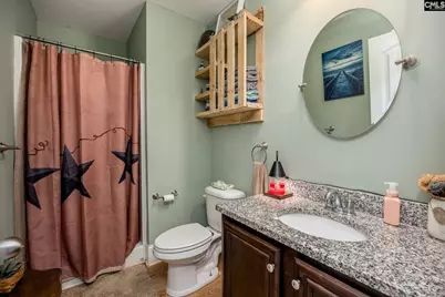 322 Copper Queen Court, Lexington, SC 29073 - Photo 9