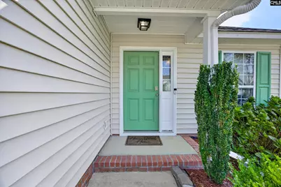 233 Stagone Lane, Lexington, SC 29073 - Photo 3