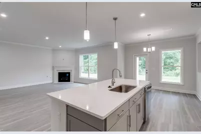 457 Mont Haven Place, Lexington, SC 29072 - Photo 9