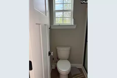 895 Horses Neck Road, Sandy Run, SC 29160 - Photo 21