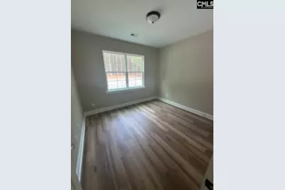 895 Horses Neck Road, Sandy Run, SC 29160 - Photo 19