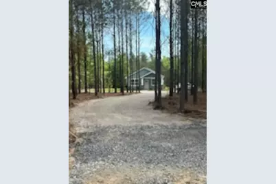 895 Horses Neck Road, Sandy Run, SC 29160 - Photo 25