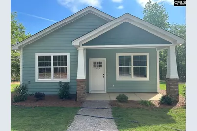 895 Horses Neck Road, Sandy Run, SC 29160 - Photo 1