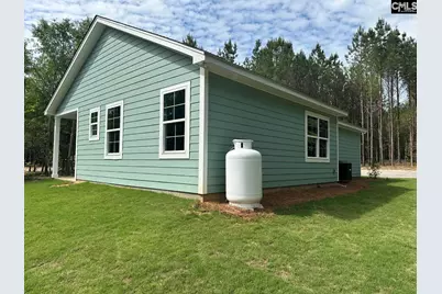 895 Horses Neck Road, Sandy Run, SC 29160 - Photo 23