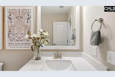 461 Mont Haven Place, Lexington, SC 29072 - Photo 19