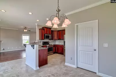 469 Walking Lane, Lexington, SC 29073 - Photo 9