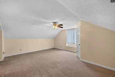 913 Willowood Parkway, Chapin, SC 29036 - Photo 25