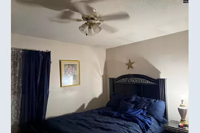 345 Marion Street, Batesburg, SC 29006 - Photo 11