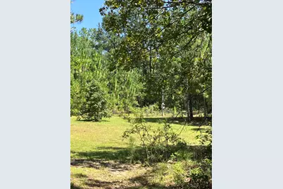 Tbd Mack Street, Gaston, SC 29053 - Photo 3