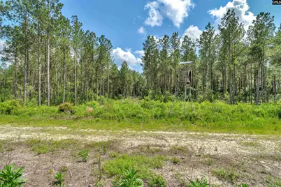 0000 N Brewington Road 3B, Manning, SC 29102 - Photo 35