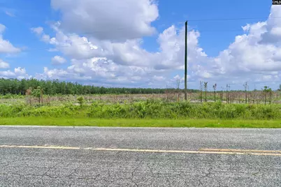 0000 N Brewington Road 3B, Manning, SC 29102 - Photo 25