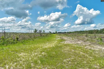 0000 N Brewington Road 3B, Manning, SC 29102 - Photo 33
