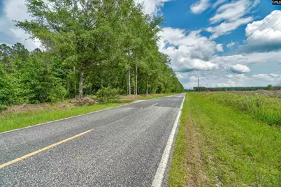 0000 N Brewington Road 3B, Manning, SC 29102 - Photo 3