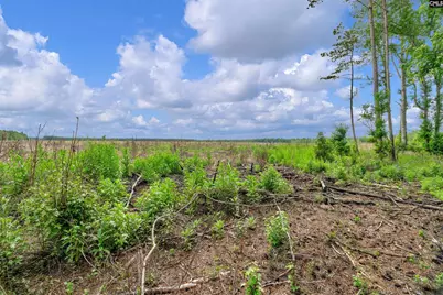 0000 N Brewington Road 3C, Manning, SC 29102 - Photo 41