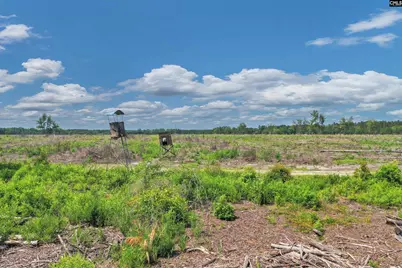 0000 N Brewington Road 3C, Manning, SC 29102 - Photo 9