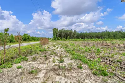 0000 N Brewington Road 3C, Manning, SC 29102 - Photo 29