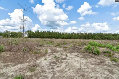 0000 N Brewington Road 3C, Manning, SC 29102 - Photo 37