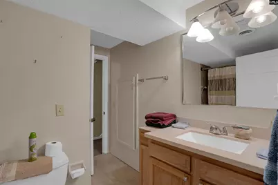 103 Ranch Lake Road, Chapin, SC 29036 - Photo 17